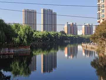 2025香港 澳门 一肖一码一一特资料大全详细解答、解释与落实